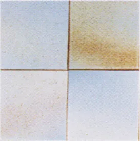 Carreau Myosotis