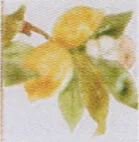 Carreau Satin décoré Citrons droite