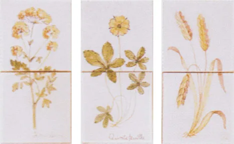 Carreaux fleurs des champs (rappel)