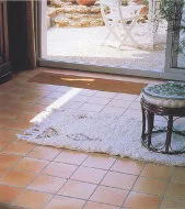 TERRE DE FRANCE